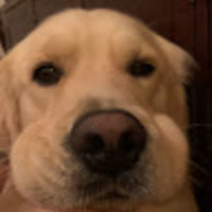 Meet your Posher, Skylar